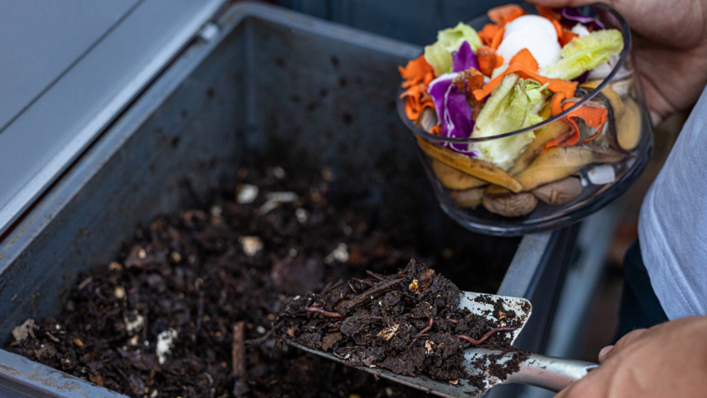compostable vs biodegradable